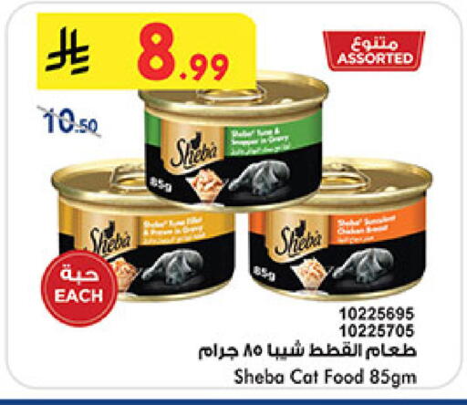 available at بن داود in مملكة العربية السعودية, السعودية, سعودية - المدينة المنورة