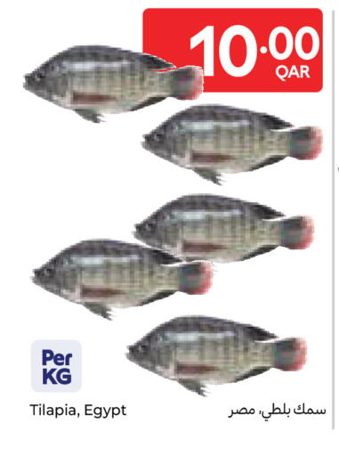 available at كارفور in قطر - أم صلال