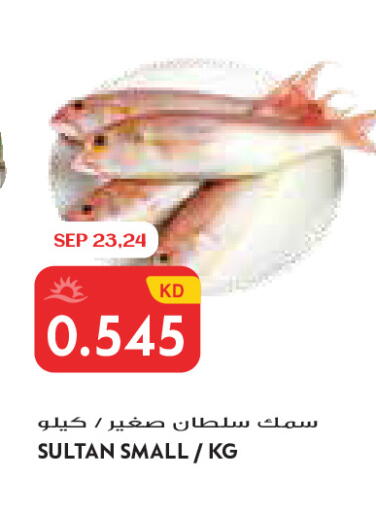 available at جراند كوستو in الكويت - مدينة الكويت