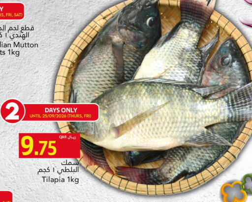 available at جلف فود سنتر in قطر - الريان
