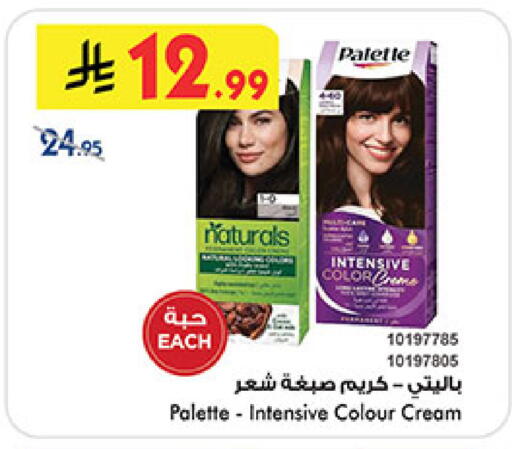 available at بن داود in مملكة العربية السعودية, السعودية, سعودية - المدينة المنورة