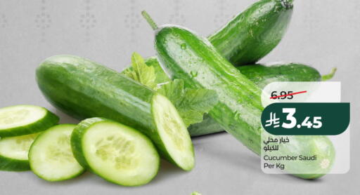 Cucumber from Saudi Arabia available at LULU Hypermarket in KSA, Saudi Arabia, Saudi - Al Khobar