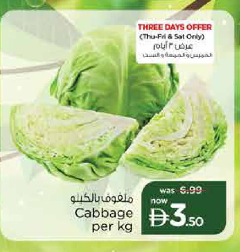 Cabbage available at نستو هايبرماركت in الإمارات العربية المتحدة , الامارات - دبي