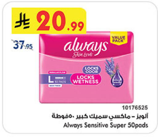 available at بن داود in مملكة العربية السعودية, السعودية, سعودية - المدينة المنورة