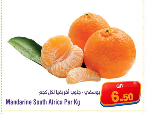 from South Africa available at Megamart in Qatar - Al Shamal