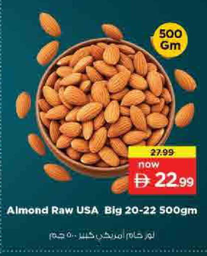 available at لاست تشانس in الإمارات العربية المتحدة , الامارات - ٱلْفُجَيْرَة‎