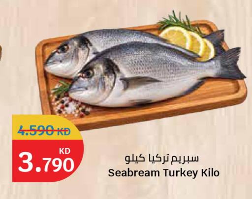 available at سيتي هايبرماركت in الكويت - مدينة الكويت