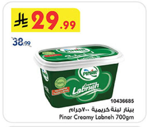 available at بن داود in مملكة العربية السعودية, السعودية, سعودية - المدينة المنورة