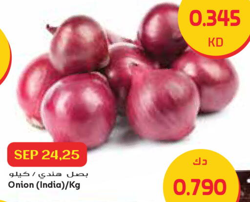 Onion from India available at Grand Costo in Kuwait - Kuwait City