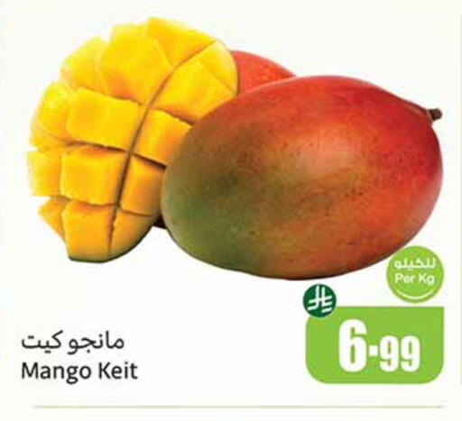 Mango available at أسواق عبد الله العثيم in مملكة العربية السعودية, السعودية, سعودية - الخرج
