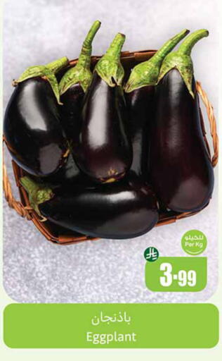 Eggplant available at Othaim Markets in KSA, Saudi Arabia, Saudi - Rafha