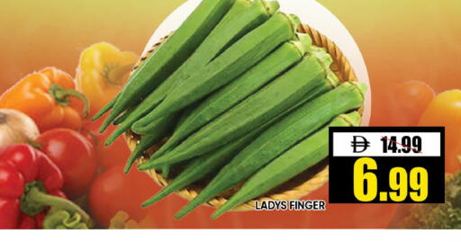 available at Leptis Hypermarket  in UAE - Ras al Khaimah