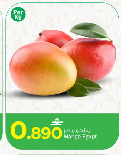 available at مارك & سايف in عُمان - مسقط‎