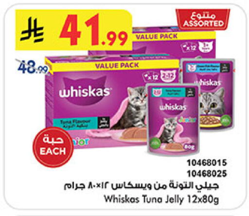 available at بن داود in مملكة العربية السعودية, السعودية, سعودية - المدينة المنورة