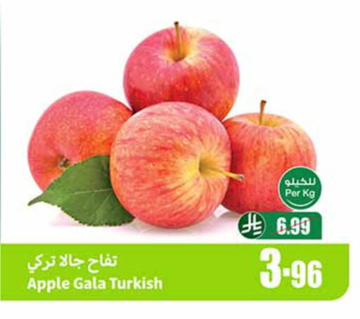 Apple from Turkey available at Othaim Markets in KSA, Saudi Arabia, Saudi - Rafha