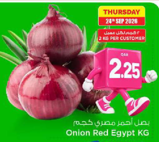 Onion from Egypt available at مارك & سيف in قطر - الدوحة