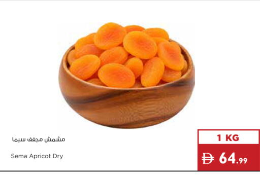Apricot available at Istanbul Supermarket in UAE - Ras al Khaimah