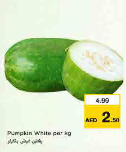 Pumpkin available at لاست تشانس in الإمارات العربية المتحدة , الامارات - ٱلْفُجَيْرَة‎