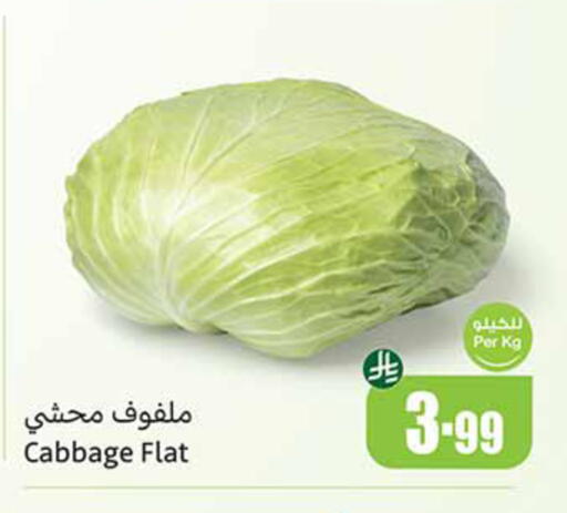 Cabbage available at Othaim Markets in KSA, Saudi Arabia, Saudi - Rafha