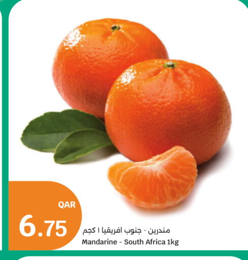 from South Africa available at سيتي هايبرماركت in قطر - الخور