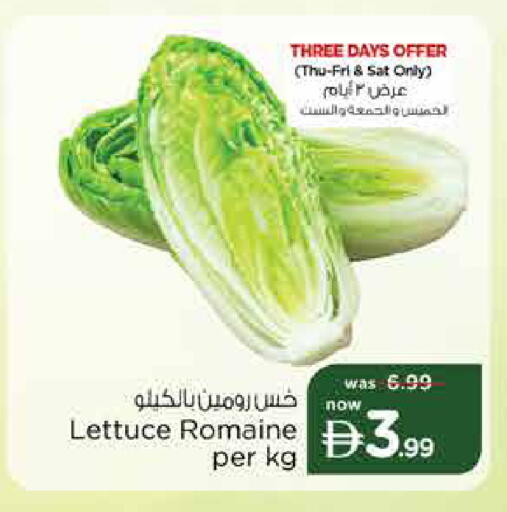 Lettuce available at نستو هايبرماركت in الإمارات العربية المتحدة , الامارات - دبي