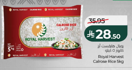 available at LULU Hypermarket in KSA, Saudi Arabia, Saudi - Khamis Mushait
