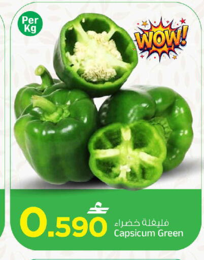 Capsicum available at MARK & SAVE in Oman - Muscat