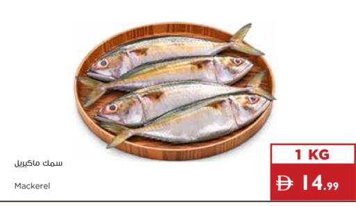 available at Istanbul Supermarket in UAE - Ras al Khaimah