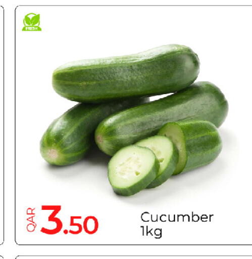 Cucumber available at G MAX Hypermarket in Qatar - Al Rayyan