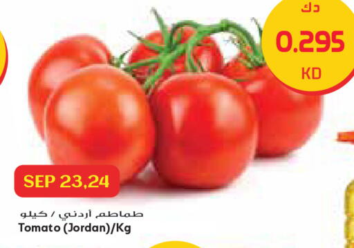 Tomato from Jordan available at جراند كوستو in الكويت - مدينة الكويت