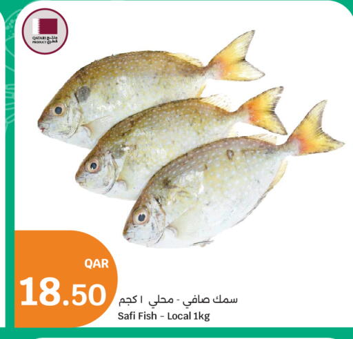 available at سيتي هايبرماركت in قطر - الخور