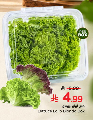 Lettuce available at نستو in مملكة العربية السعودية, السعودية, سعودية - الرس