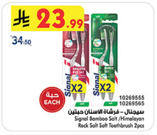 available at بن داود in مملكة العربية السعودية, السعودية, سعودية - المدينة المنورة