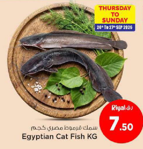 available at Mark & Save  in Qatar - Al Khor