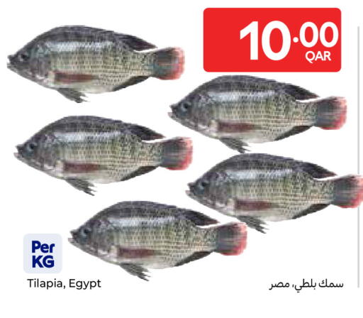 available at كارفور in قطر - الريان