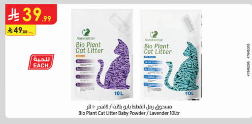 available at Danube in KSA, Saudi Arabia, Saudi - Khamis Mushait
