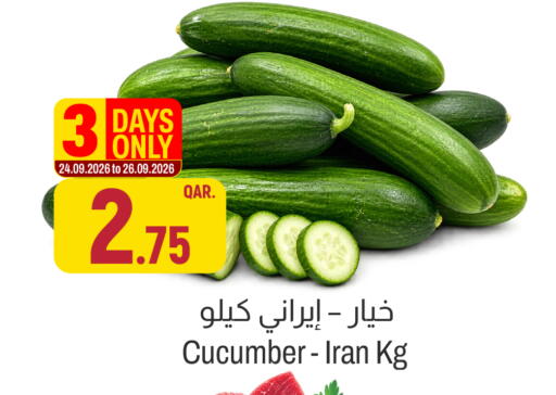 Cucumber from Iran available at Aswaq Al Malaki Fresh in Qatar - Al Shamal