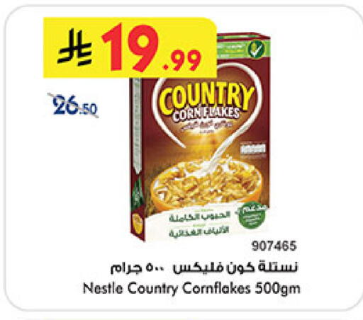 available at بن داود in مملكة العربية السعودية, السعودية, سعودية - المدينة المنورة
