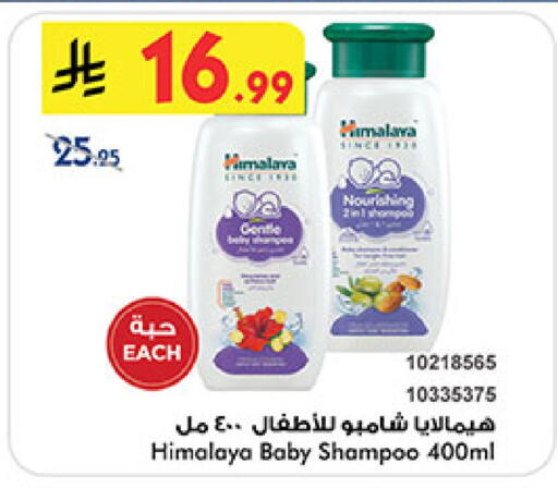 available at بن داود in مملكة العربية السعودية, السعودية, سعودية - المدينة المنورة