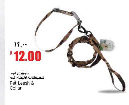 available at ريتيل مارت in قطر - أم صلال