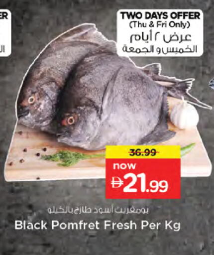 available at نستو هايبرماركت in الإمارات العربية المتحدة , الامارات - دبي