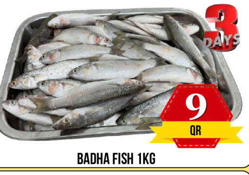 available at دبي شوبينغ سنتر in قطر - الريان