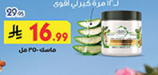 available at بن داود in مملكة العربية السعودية, السعودية, سعودية - المدينة المنورة