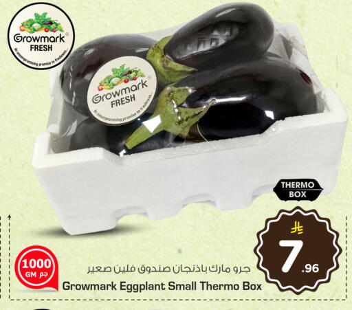 Eggplant available at هايبر الوفاء in مملكة العربية السعودية, السعودية, سعودية - الخرج
