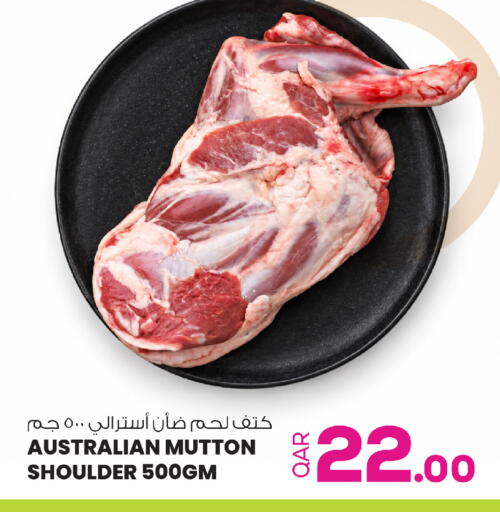 available at أنصار جاليري in قطر - الريان