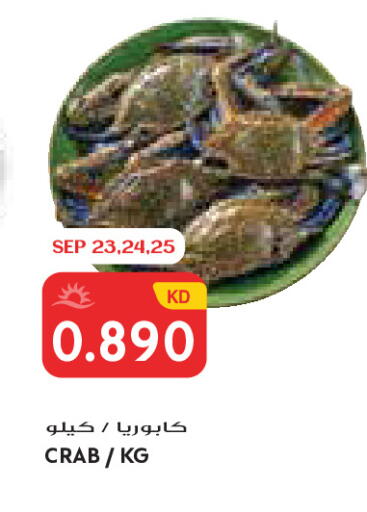 available at جراند كوستو in الكويت - مدينة الكويت