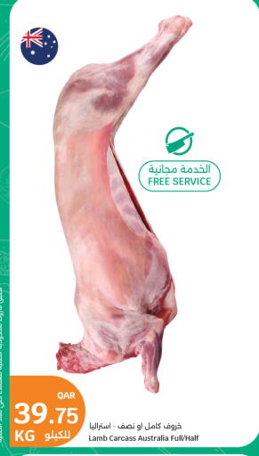 available at سيتي هايبرماركت in قطر - الخور