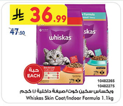 available at بن داود in مملكة العربية السعودية, السعودية, سعودية - المدينة المنورة