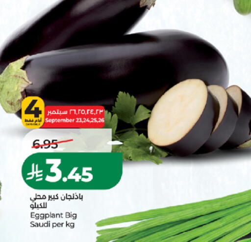 Eggplant from Saudi Arabia available at لولو هايبرماركت in مملكة العربية السعودية, السعودية, سعودية - المدينة المنورة