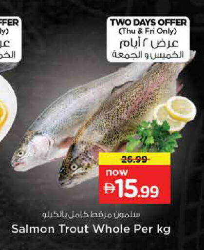 available at نستو هايبرماركت in الإمارات العربية المتحدة , الامارات - دبي